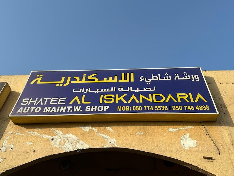 AL MARIJA USED TYRES TRADING — Tyres Rims Wheels in Sharjah, Al Khan - Image 3