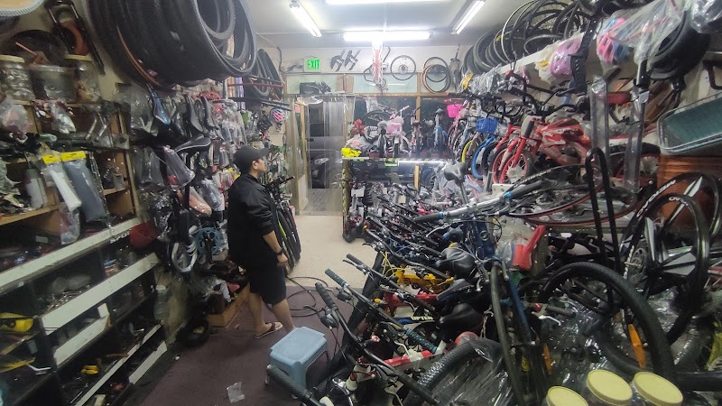 Wadi Al Rayan Bicycles TR — Bicycles Accessories in Sharjah, Al Khan - Image 5