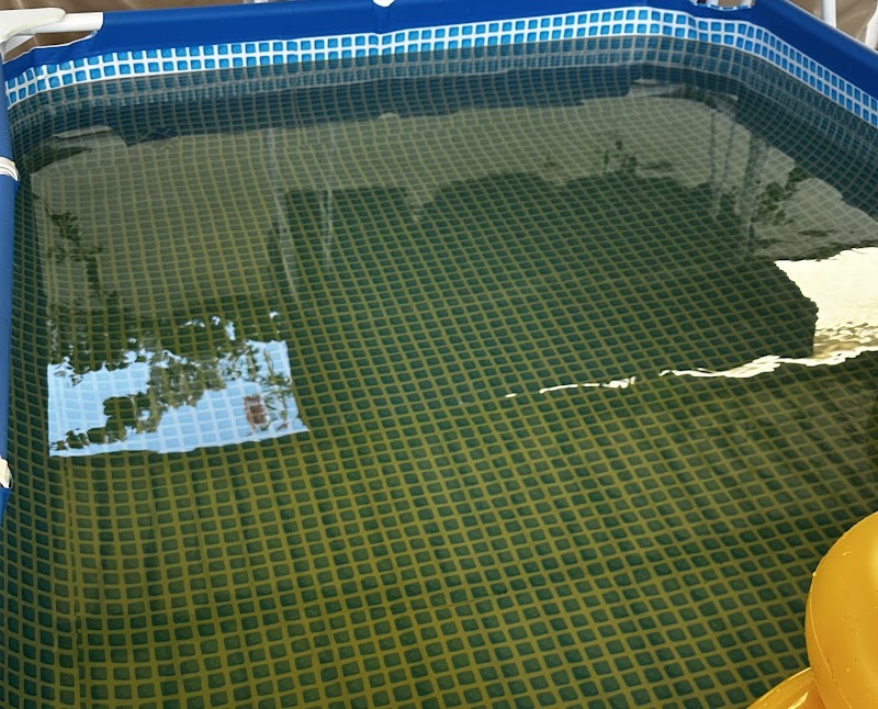 Top floor water tanker supply — Water Tanks Heaters in Sharjah , Al Khan - Image 3