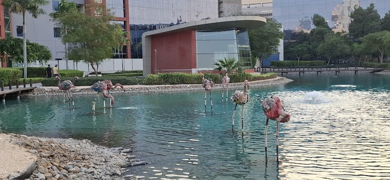 Dubai — Apartments For Rent in Dubai, Downtown - Image 4