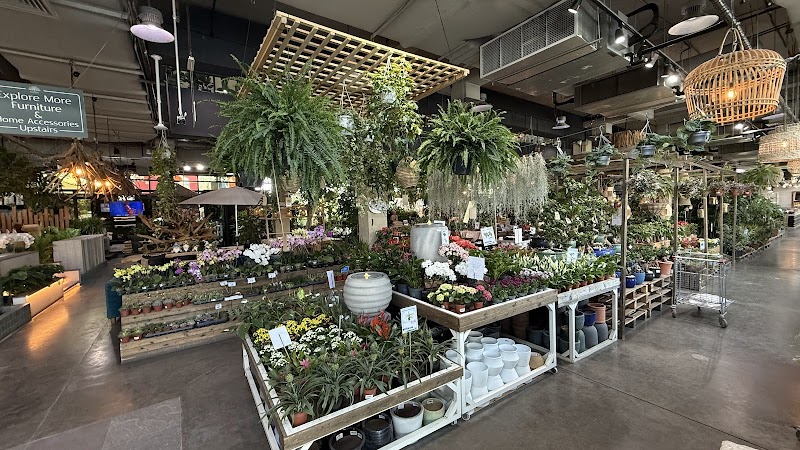 Dubai Garden Centre — Garden Tools Accessories in Dubai, Downtown - Image 2