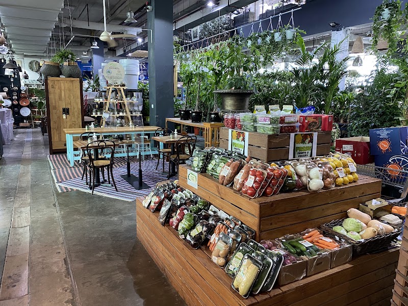 Dubai Garden Centre — Garden Tools Accessories in Dubai, Downtown - Image 4