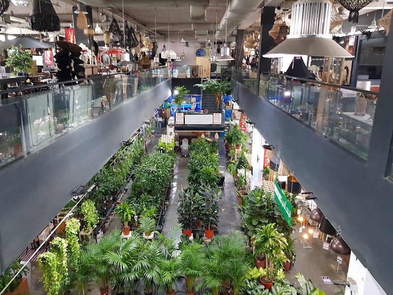 Dubai Garden Centre — Garden Tools Accessories in Dubai, Downtown - Image 5