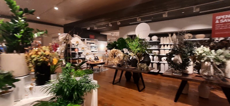 Crate and Barrel - Mall of Emirates — Garden Tools Accessories in Dubai, Downtown - Image 5