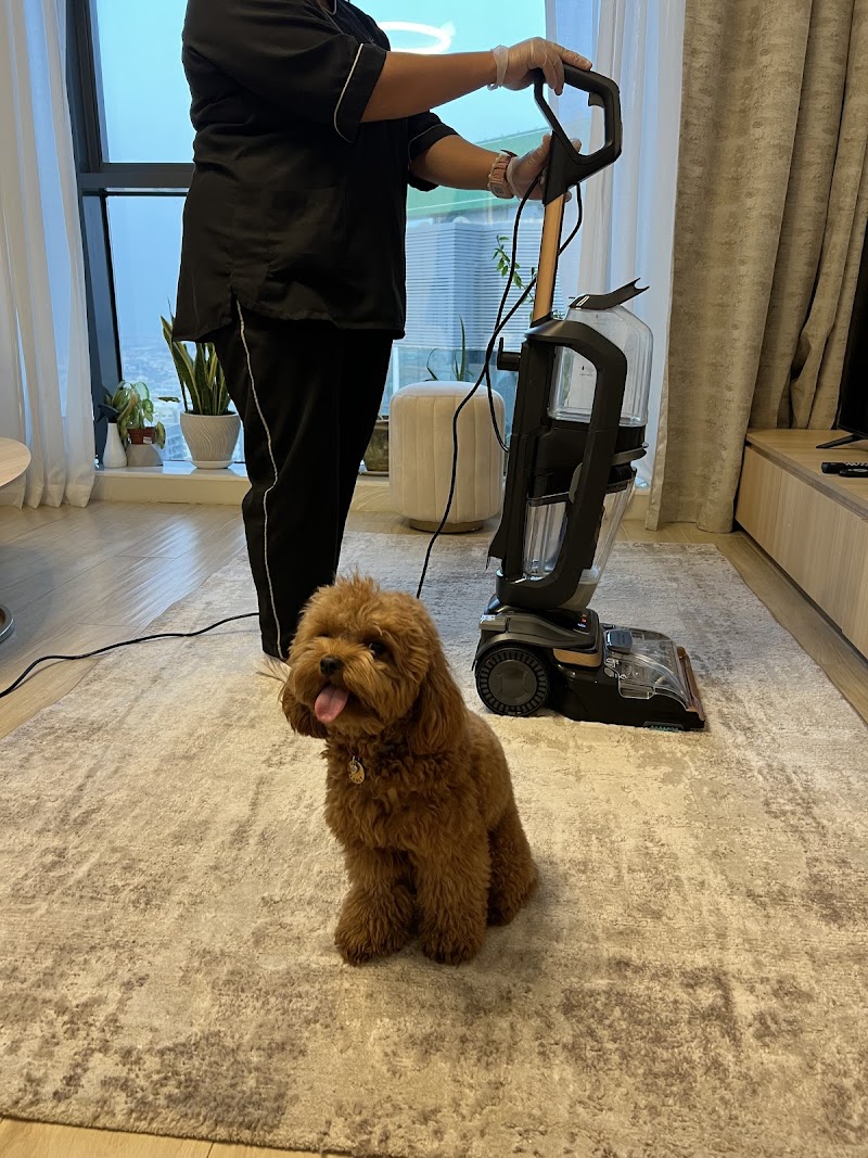 Neatly Homes Property Care LLC. — Home Services in Dubai, downtown - Image 3