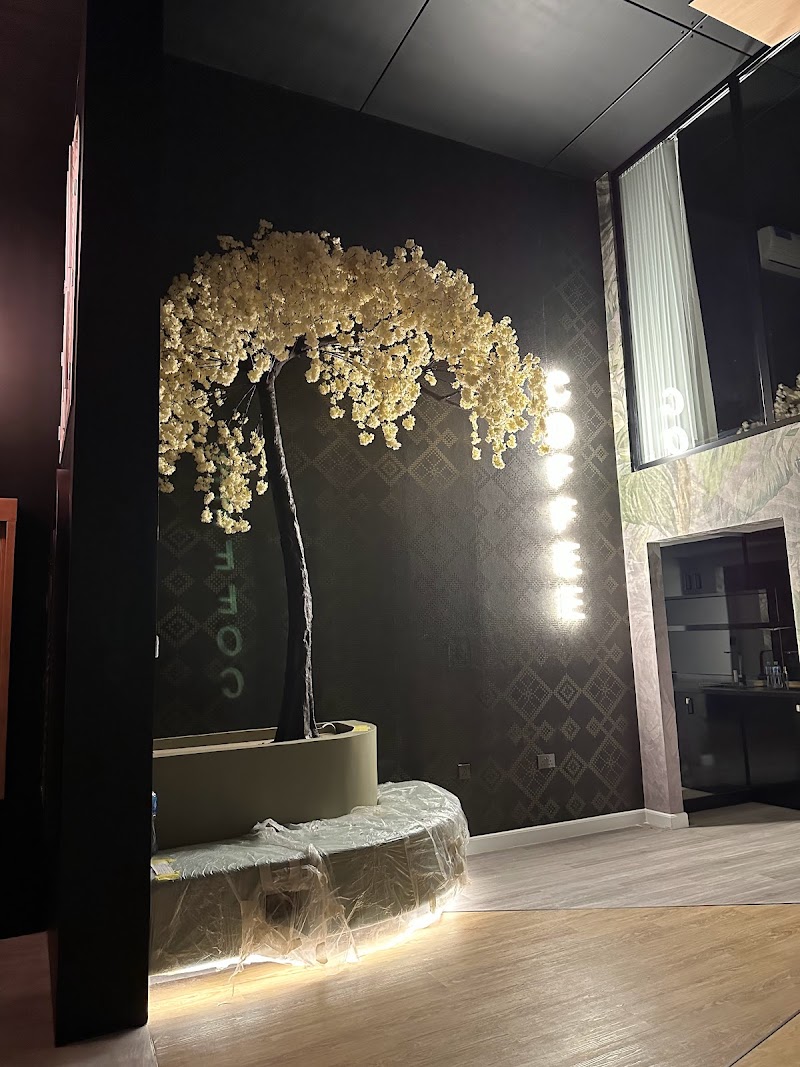 Blinds And Curtains Dubai — Curtains Carpets in Dubai, Downtown - Image 5