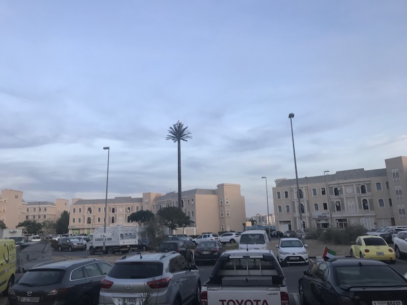 Al Barsha Government Services — Business Services in Dubai, Al barsha - Image 5