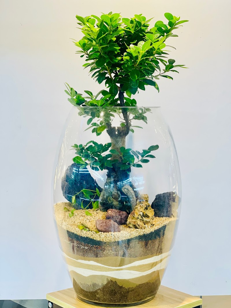 Plante Al Barsha — Personal Services in Dubai, Al barsha - Image 4