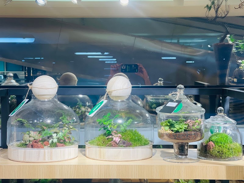 Plante Al Barsha — Personal Services in Dubai, Al barsha - Image 5