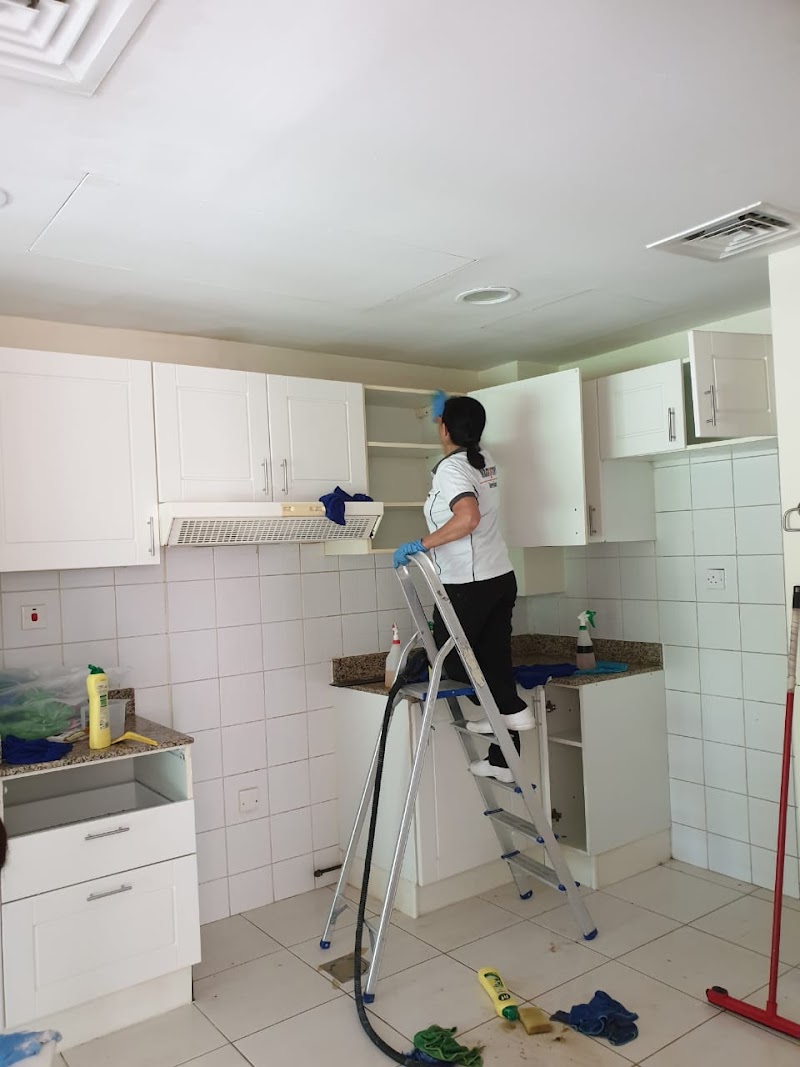 Mangrove Services LLC — Home Services in Dubai, business bay - Image 3