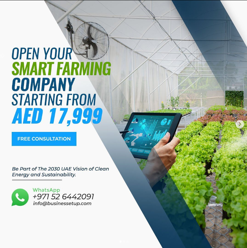 Business Setup In Dubai - Company Setup UAE — Business Services in Dubai, Jumeirah - Image 4