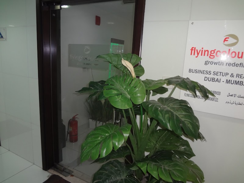 Flying Colour Business Setup Services LLC — Business Services in Dubai, Jumeirah - Image 5