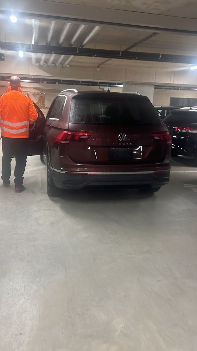 Dubai Auto Shipping — Vehicle Services in Dubai, business bay - Image 4