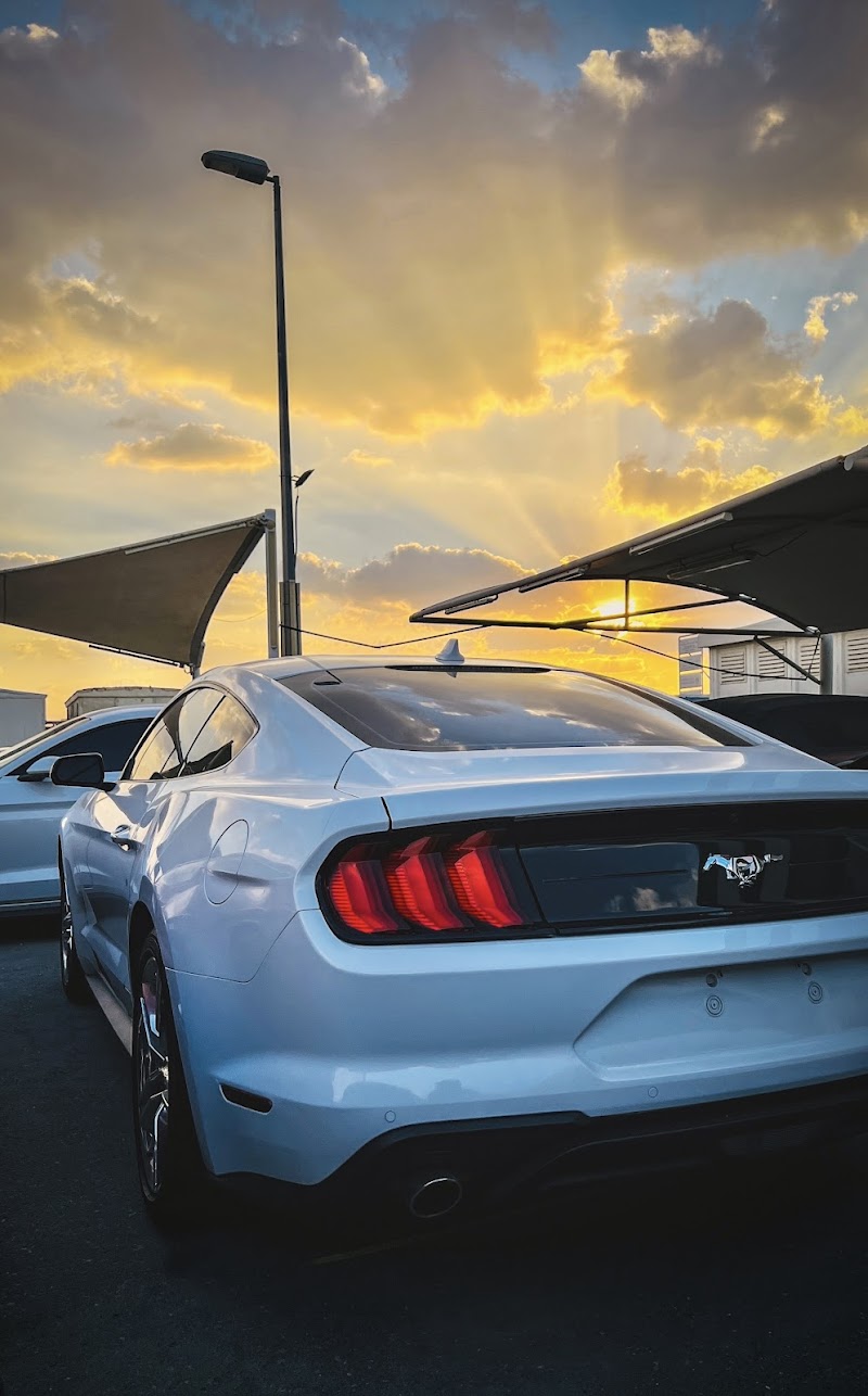 Sharjah Used Car Market — Cars in Sharjah, Al Nahda - Image 5