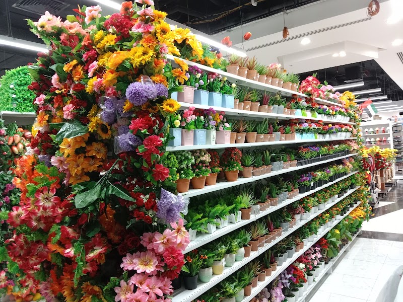 Night To Night Hypermarket — Electronics Appliances in Sharjah, Al Nahda - Image 4