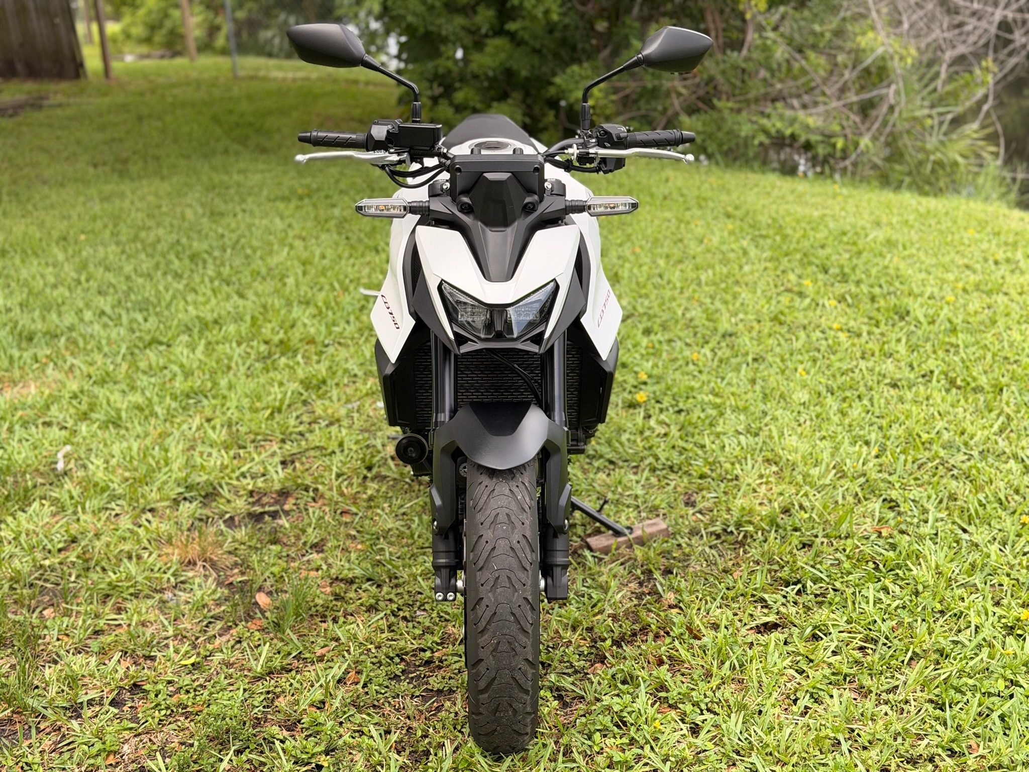 2025 Honda CB750 Hornet for Sale - Image 3