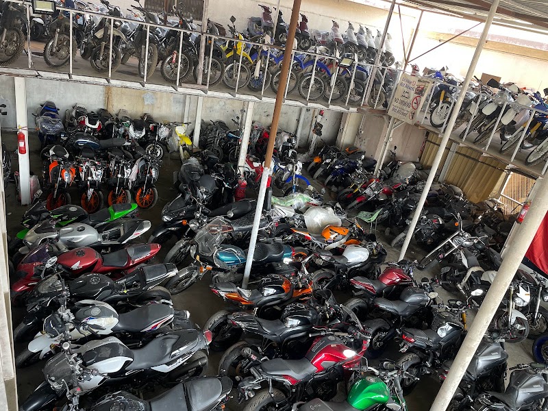 Al Shams Al Hadeaa — Sporting Goods Bikes in Sharjah, Al Nahda - Image 2