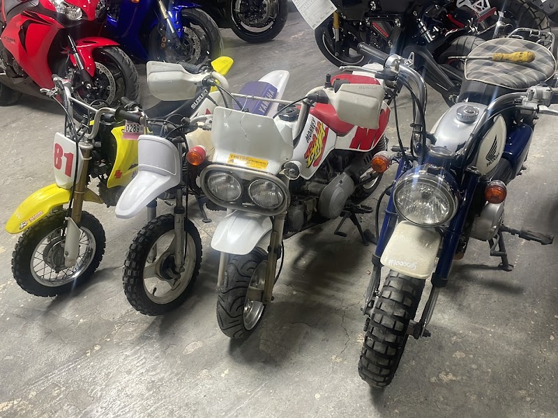 Al Shams Al Hadeaa — Sporting Goods Bikes in Sharjah, Al Nahda - Image 4