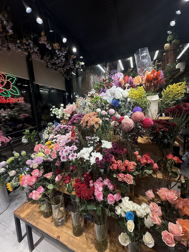 Home Garden — Garden Tools Accessories in Sharjah, Al Nahda - Image 2