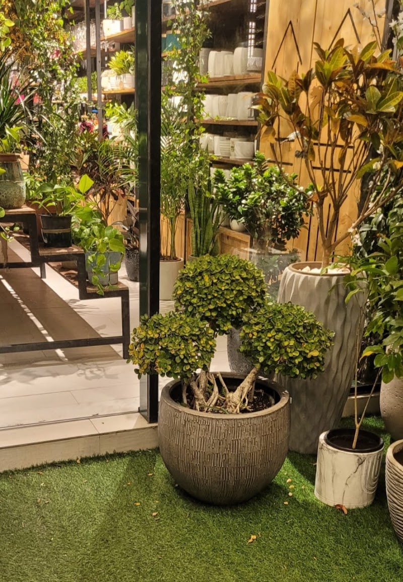 Home Garden — Garden Tools Accessories in Sharjah, Al Nahda - Image 5