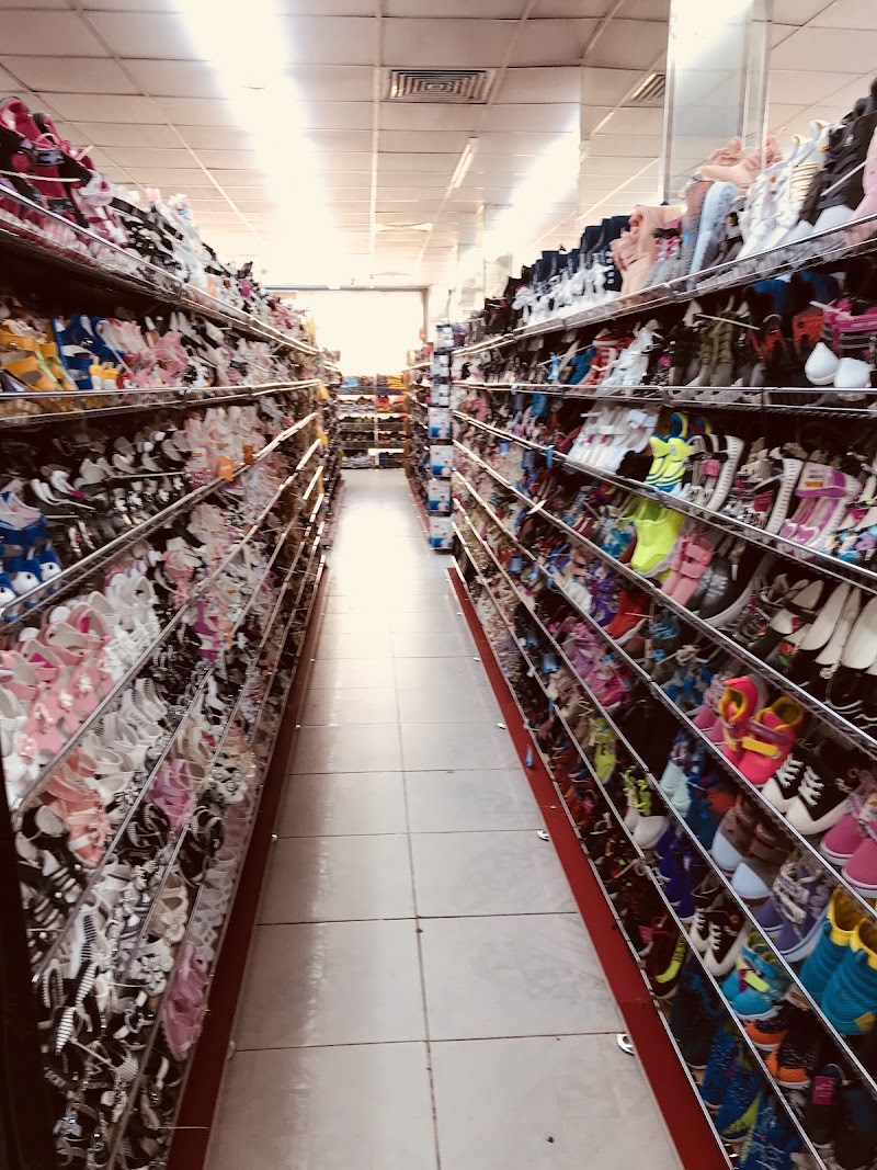 Day To Day - Al Nahda Sharjah — Garden Tools Accessories in Sharjah, Al Nahda - Image 3