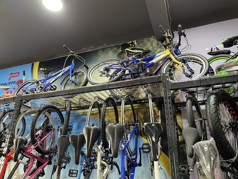 Satwa Bike Shop — Bicycles Accessories in Sharjah, Al Nahda - Image 2