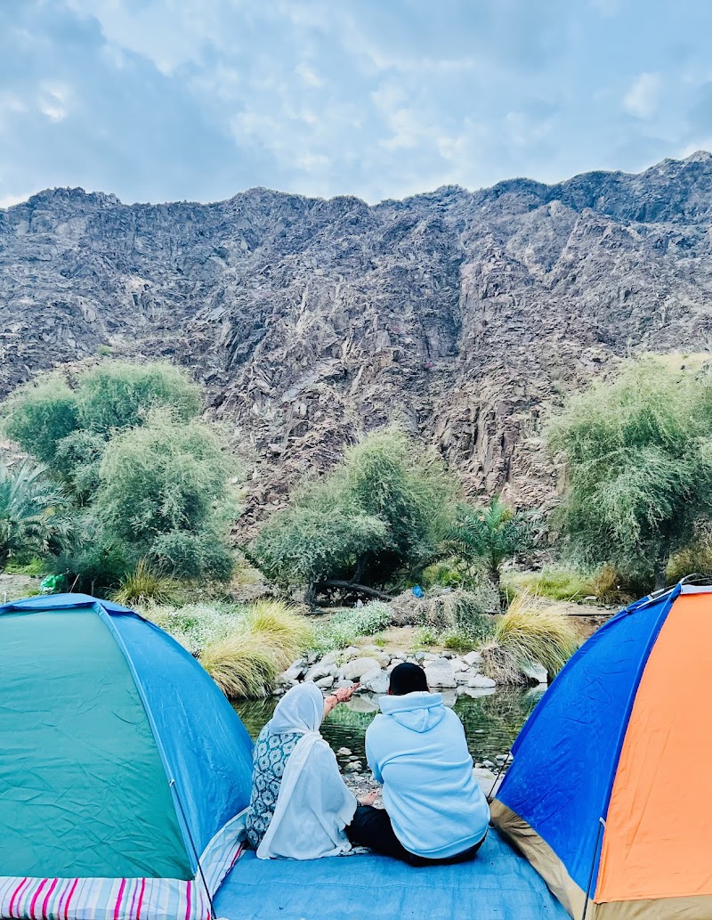 Outdoor Life - Office — Camping Gear in Sharjah, Al Nahda - Image 2