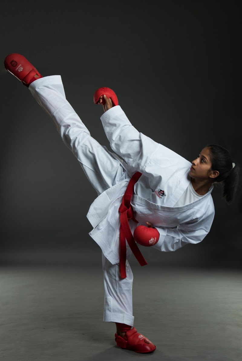 Fitness Sports Equip Tr LLC — Sports Equipment in Sharjah, Al Nahda - Image 5