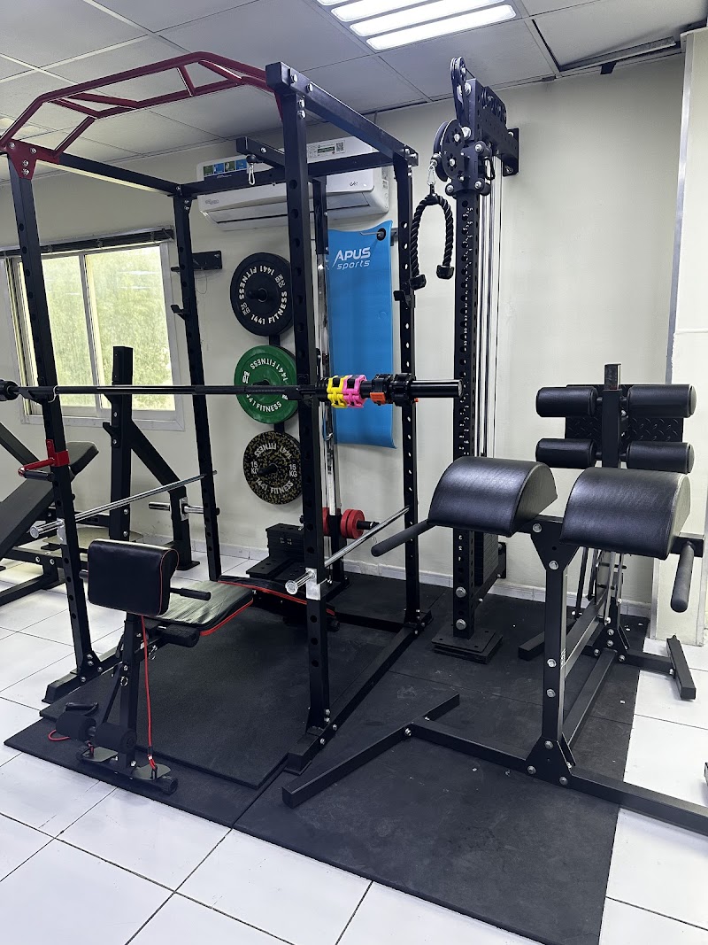 1441 Sports & Fitness Trading LLC — Sports Equipment in Sharjah, Al Nahda - Image 3
