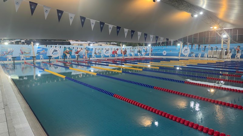 Dolphin Sports Academy — Water Sports Gear in Sharjah, Al Nahda