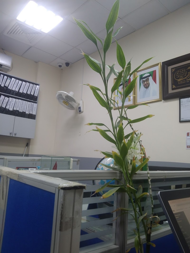 RUKN AL NOOR BUSINESS SERVICES — Business Services in Sharjah, Al Nahda - Image 4