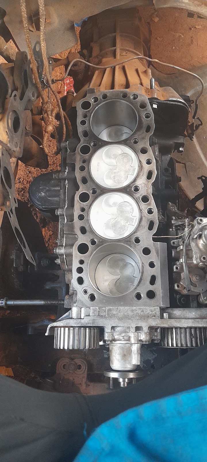 Al Shamali Auto Parts - Head Office — Batteries & Lubricants in Dubai, Diera - Image 2