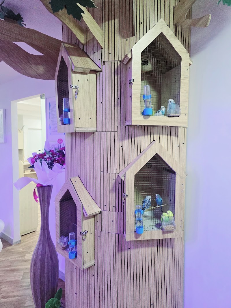 Daffodils Nursery, Al Taawun, Sharjah — Kids & Babies in Sharjah, Al Taawun - Image 5