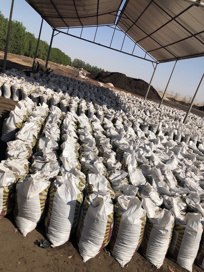 Tadweer Waste Treatment L.L.C — Waste Management Bins in Sharjah, Al Taawun - Image 2