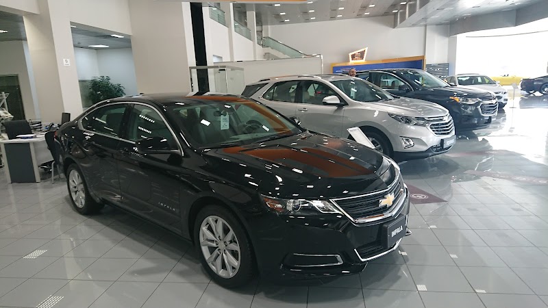 LSC | Sharjah — Batteries & Lubricants in Sharjah, Al Nahdah - Image 4