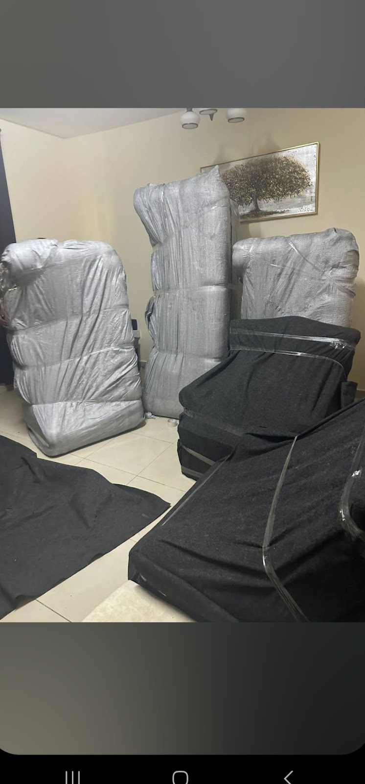 Star movers sharjah — Business Services in Sharjah, Al Taawun - Image 3