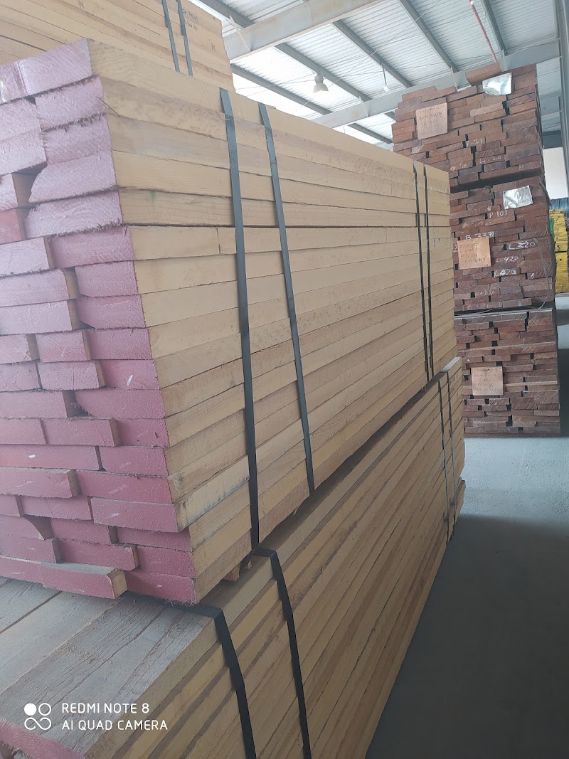 Madar Emirates for Building Materials — Wood Plywood Mdf Sheets in Sharjah, Al Taawun - Image 5