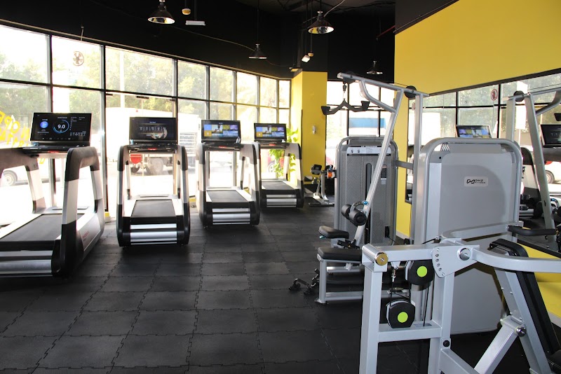 Al Alam Fitness Center مركز العالم للياقة البدنية — Sports Equipment in Sharjah, Al Taawun