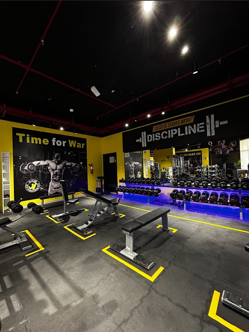 Al Alam Fitness Center مركز العالم للياقة البدنية — Sports Equipment in Sharjah, Al Taawun - Image 2