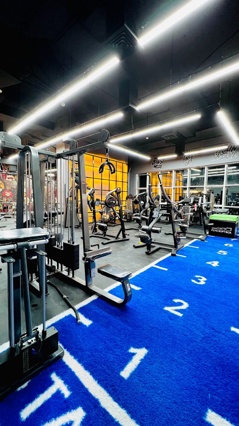 Real Fit Gym - Gents & Ladies — Sports Equipment in Sharjah, Al Taawun - Image 2