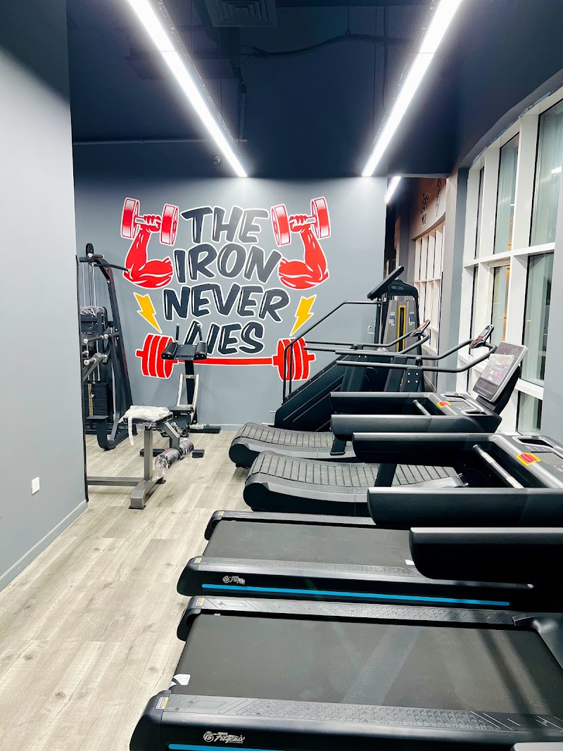 Real Fit Gym - Gents & Ladies — Sports Equipment in Sharjah, Al Taawun - Image 4