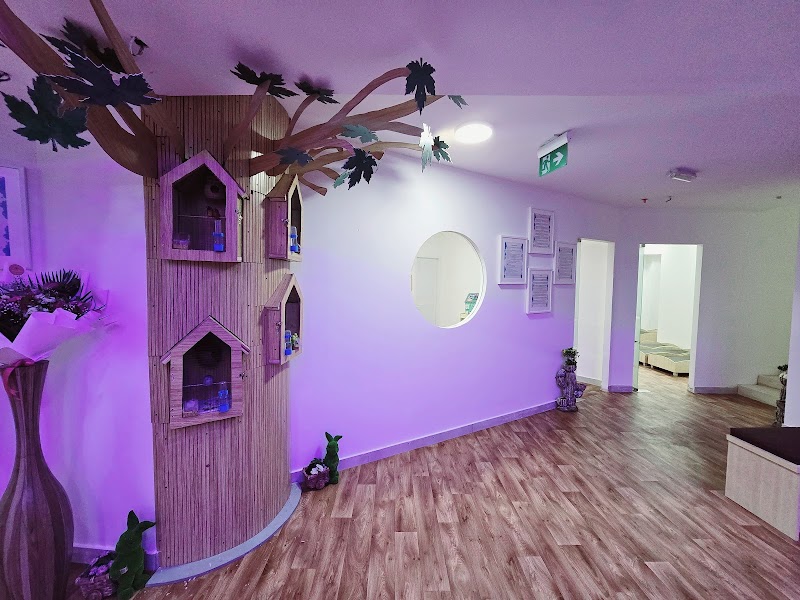 Daffodils Nursery, Al Taawun, Sharjah — Personal Services in Sharjah, Al Taawun - Image 3