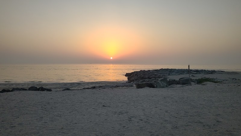 Intidhar Alam Computer — Networking Equipment in Sharjah , Al Khan - Image 5