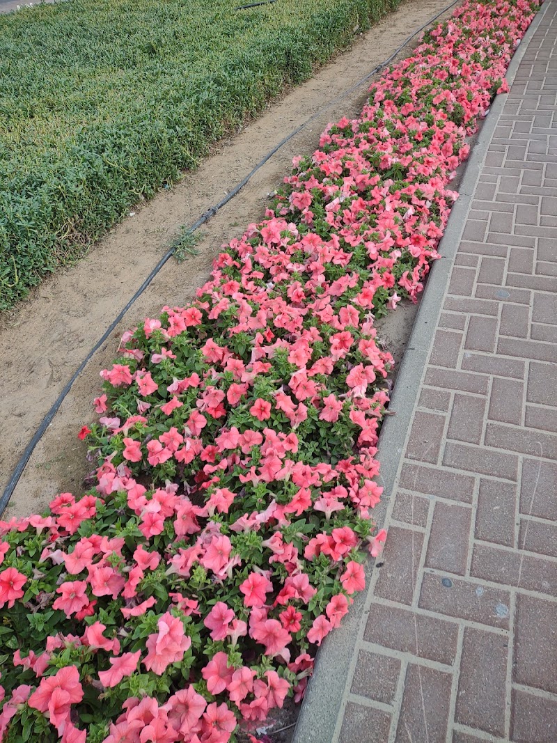 Arabian Gulf Trading Co LLC, HEAD OFFICE — Doors Windows Frames in Sharjah, Al Khan - Image 4