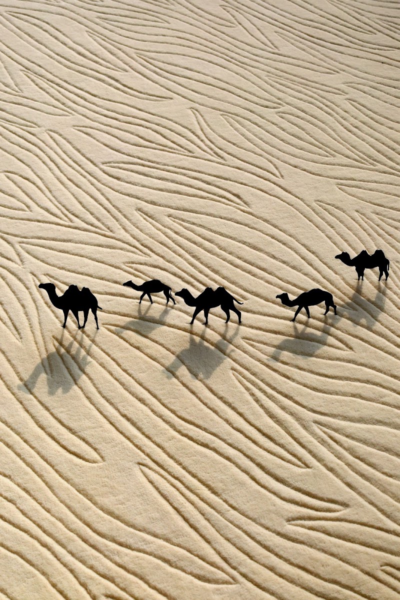 RAMSHA CARPETS — Curtains Carpets in Sharjah, Al Khan - Image 5