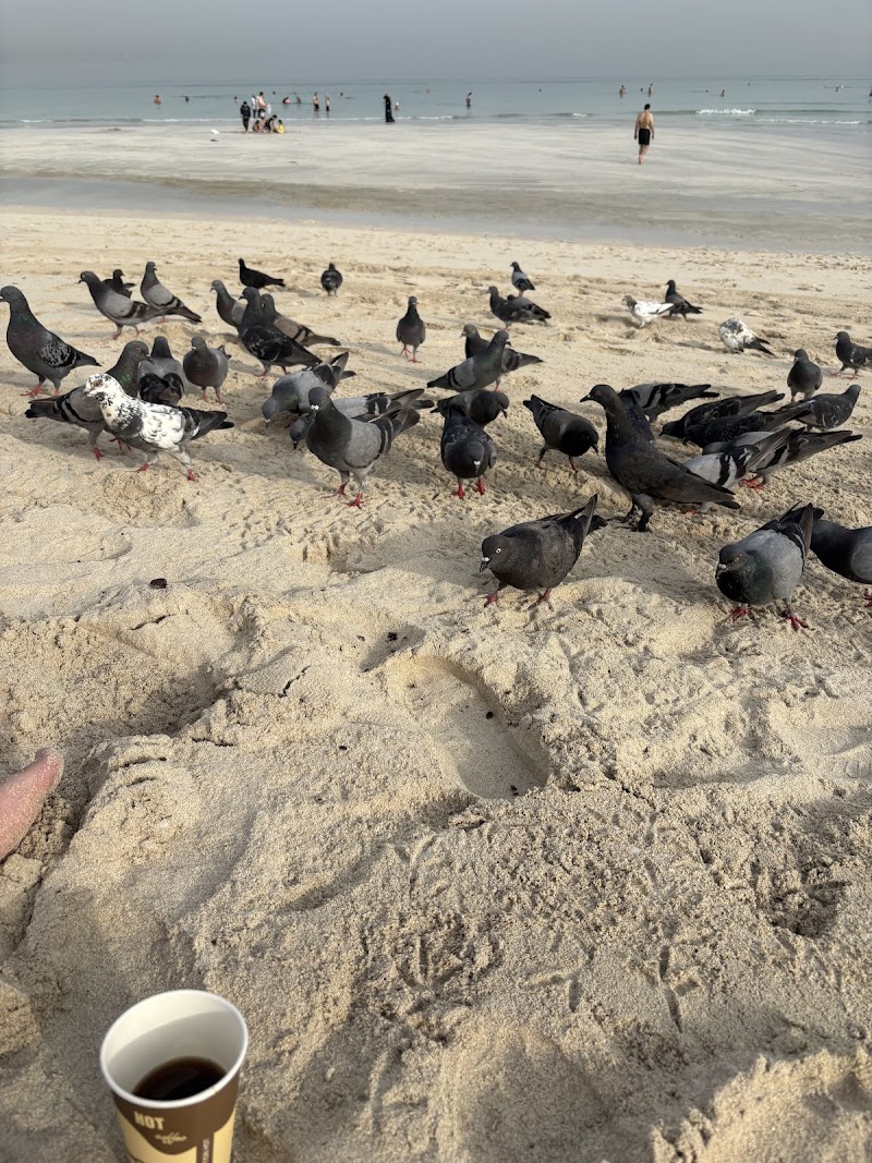 Al Khan Beach Entrance — Cars in Sharjah, Al Khan - Image 5