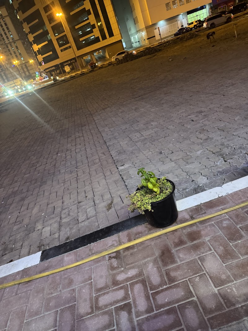 Asmak alkhan free parking — Cars in Sharjah, Al Khan